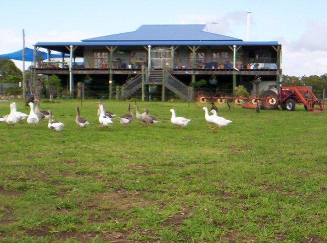 Albert River B&B
