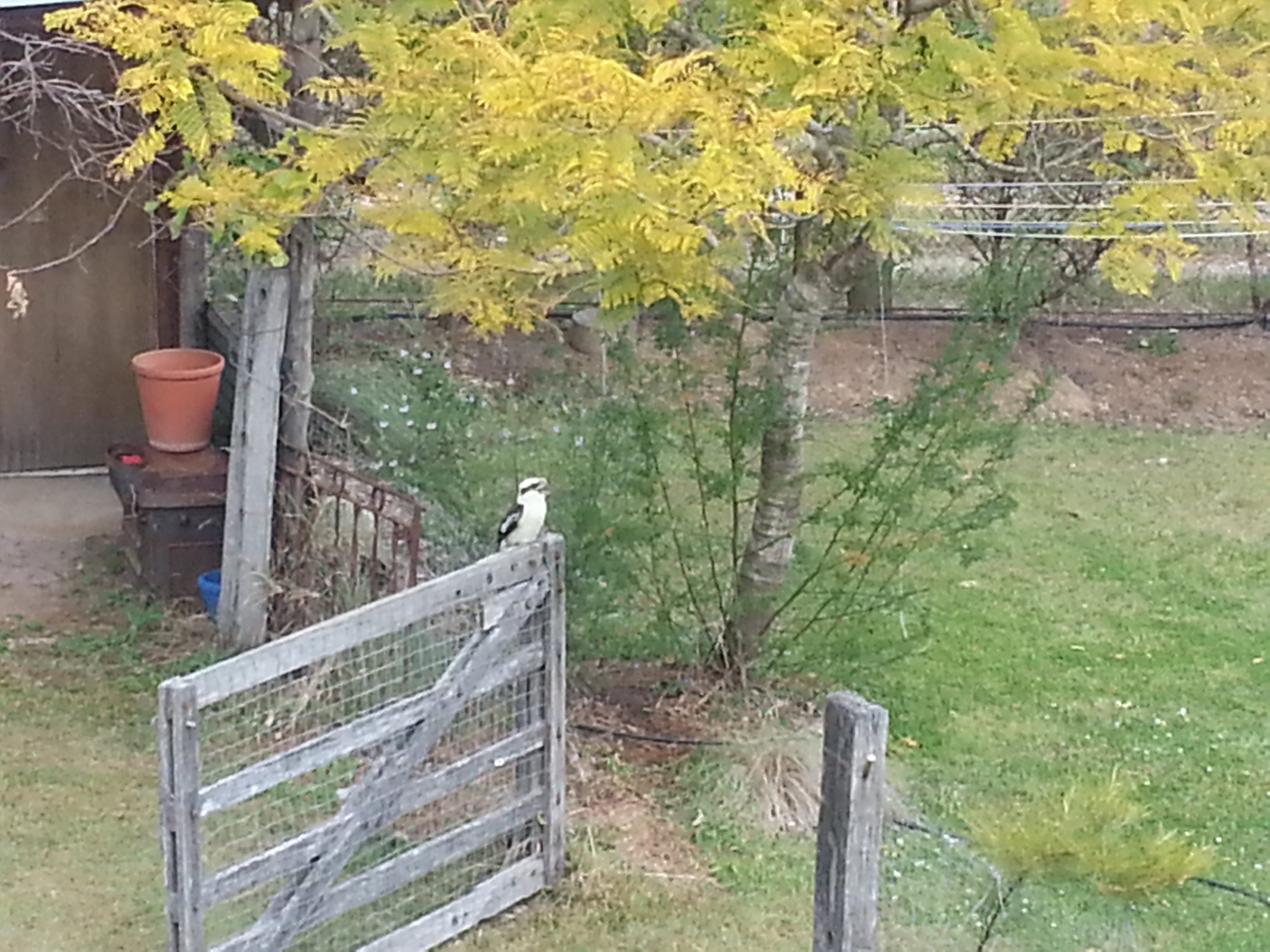 Albert River B&B