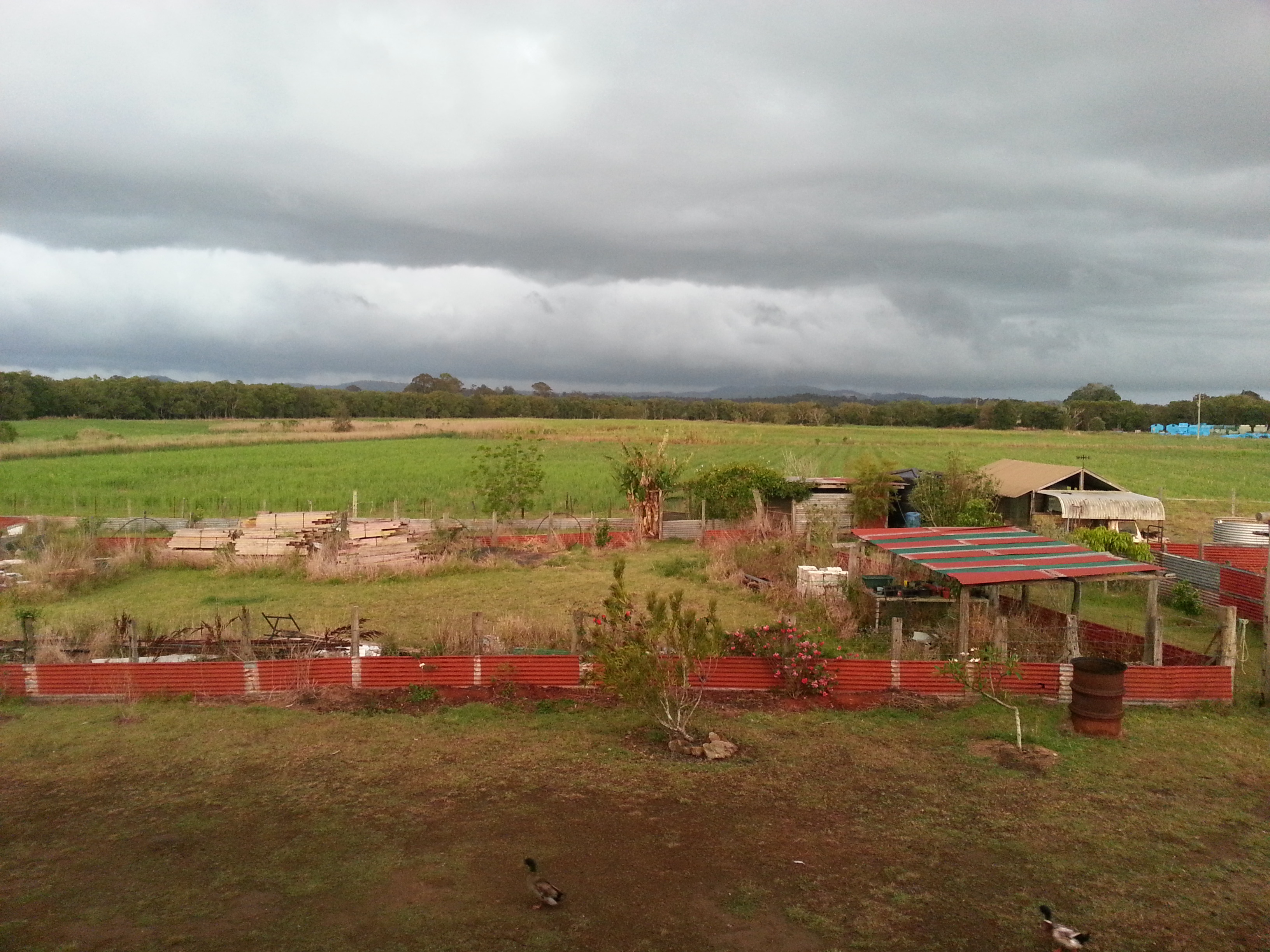 Albert River B&B