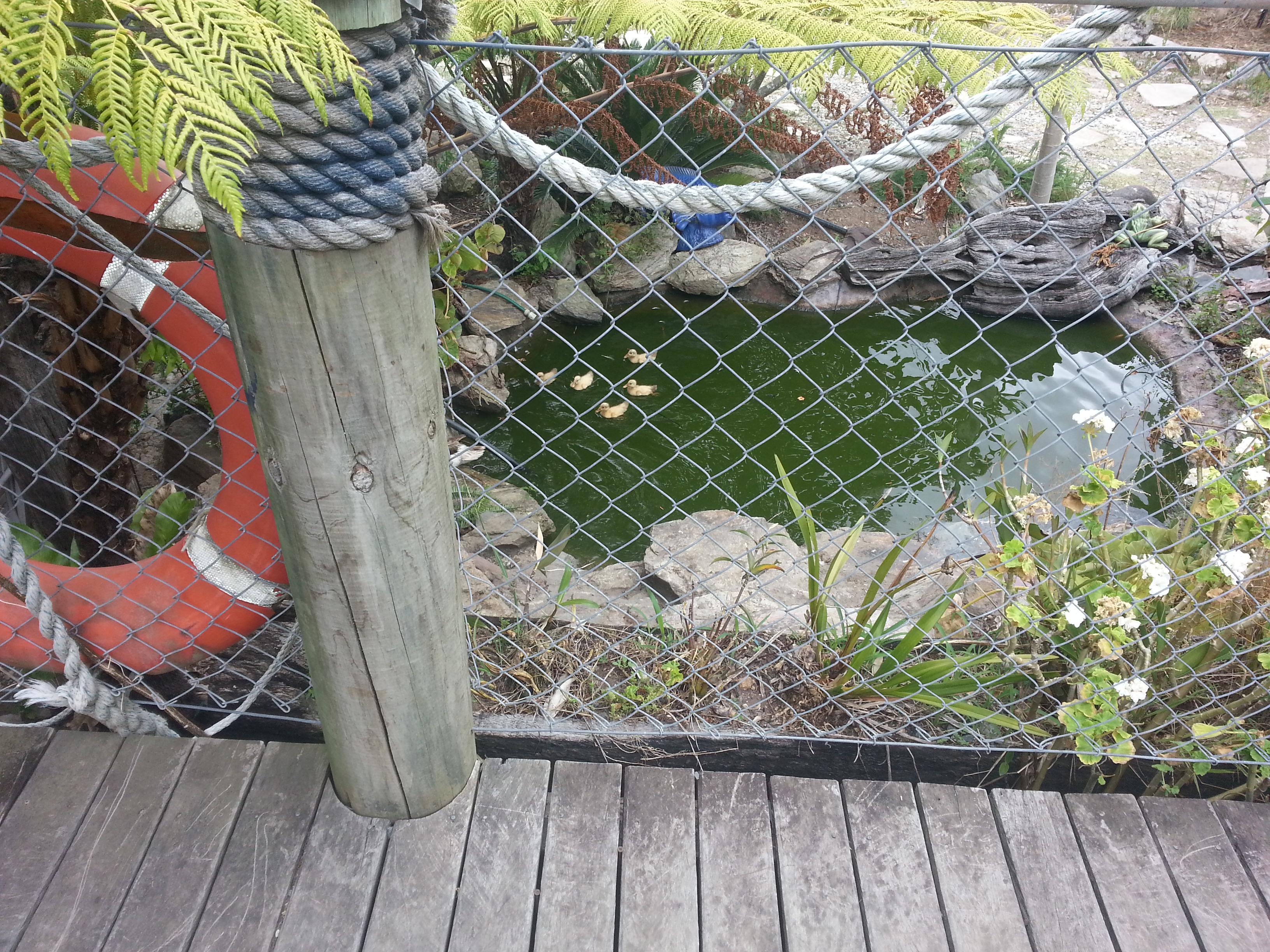 Albert River B&B