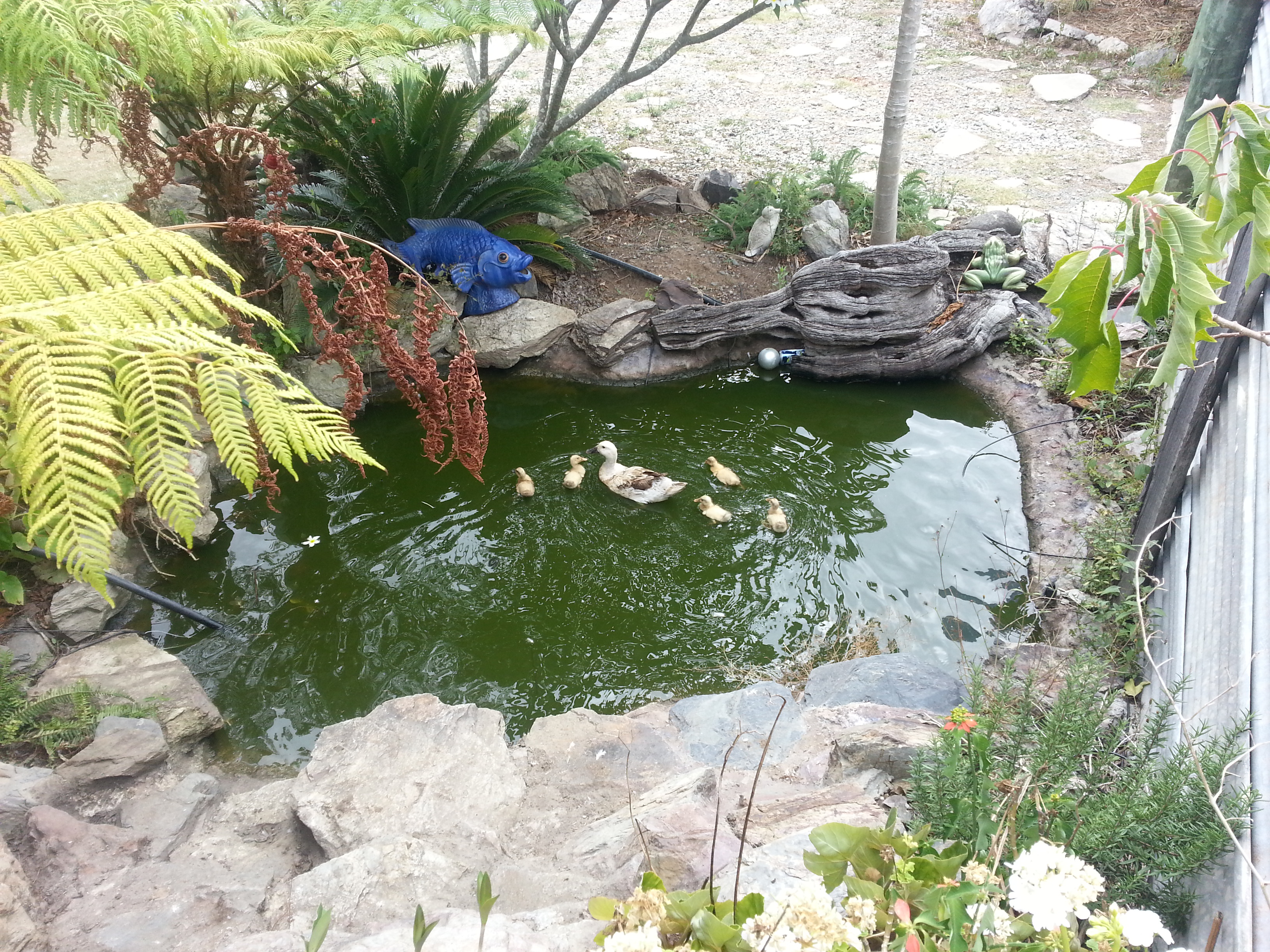 Albert River B&B