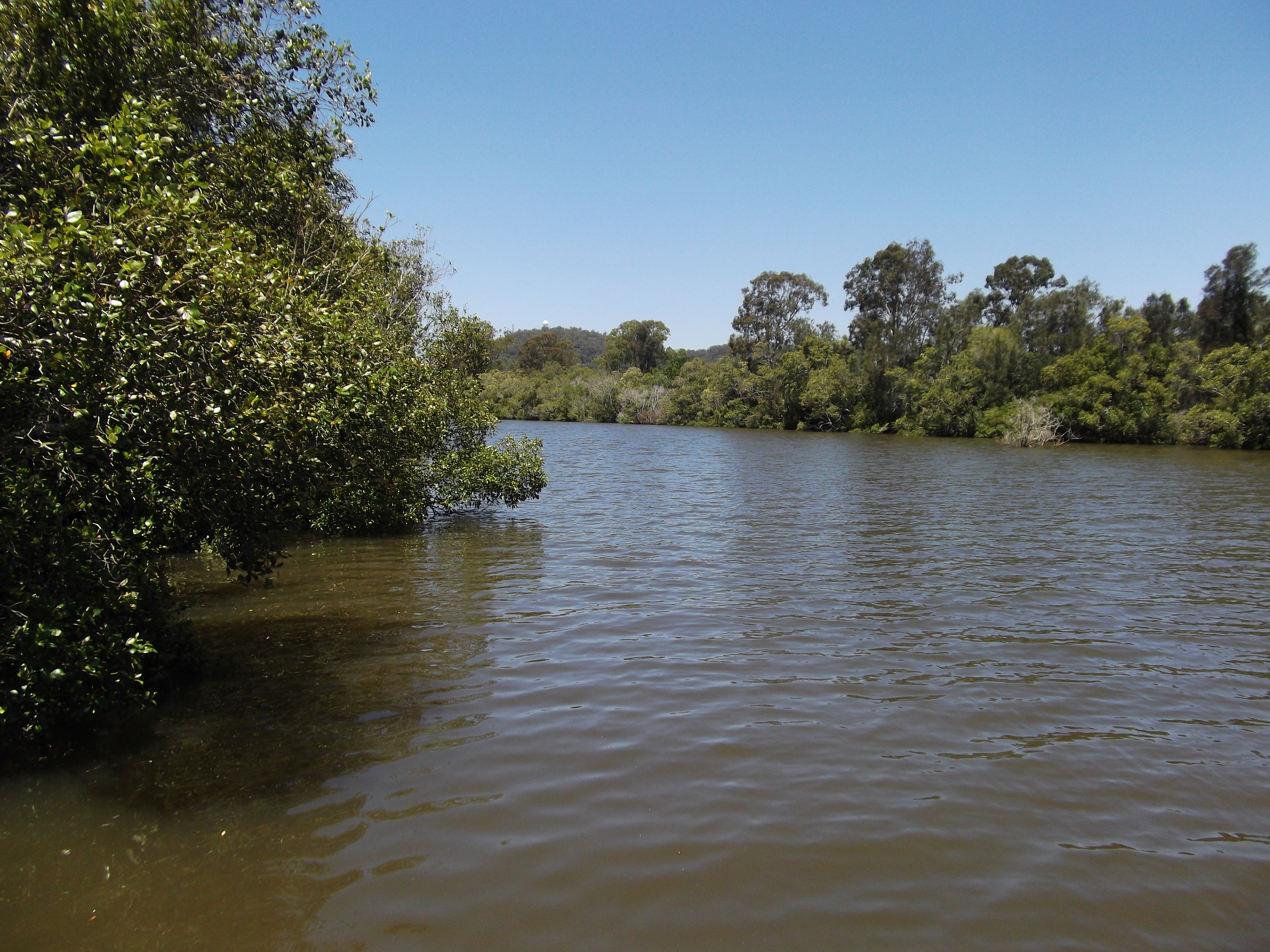 Albert River B&B
